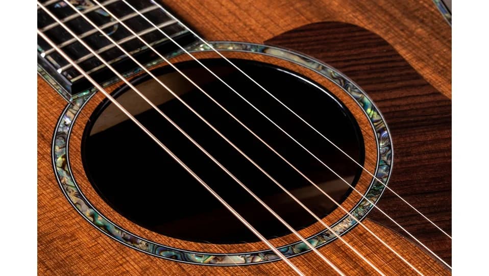 Taylor PS14ce Honduran Rosewood — photo 8