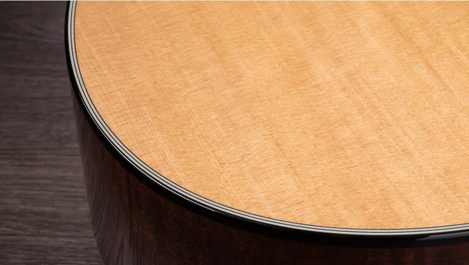 Taylor 612ce — photo 5