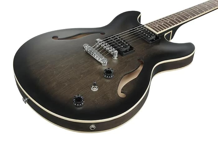 Ibanez AS53 — photo 4