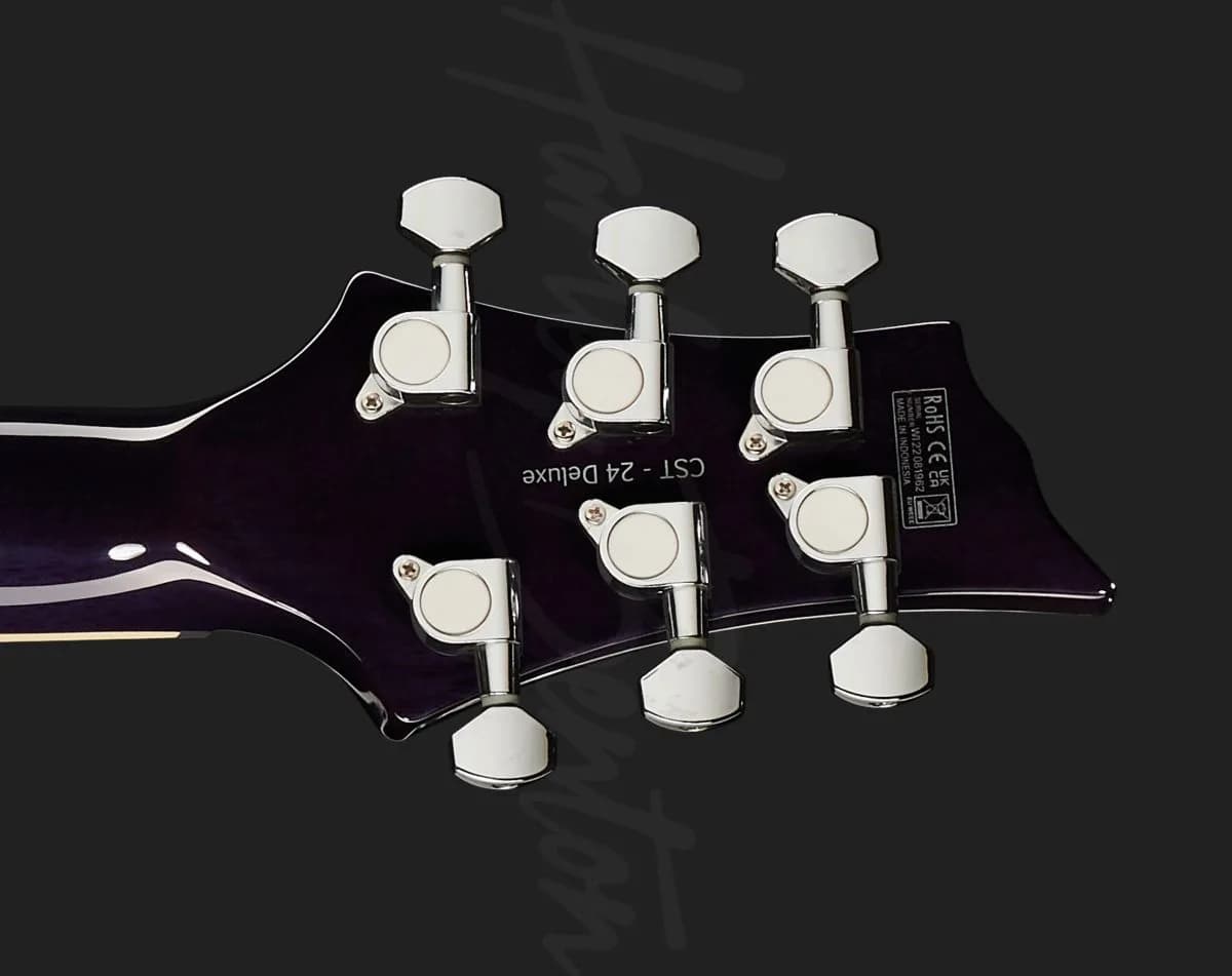 Harley Benton CST-24T Purple Burst — photo 7
