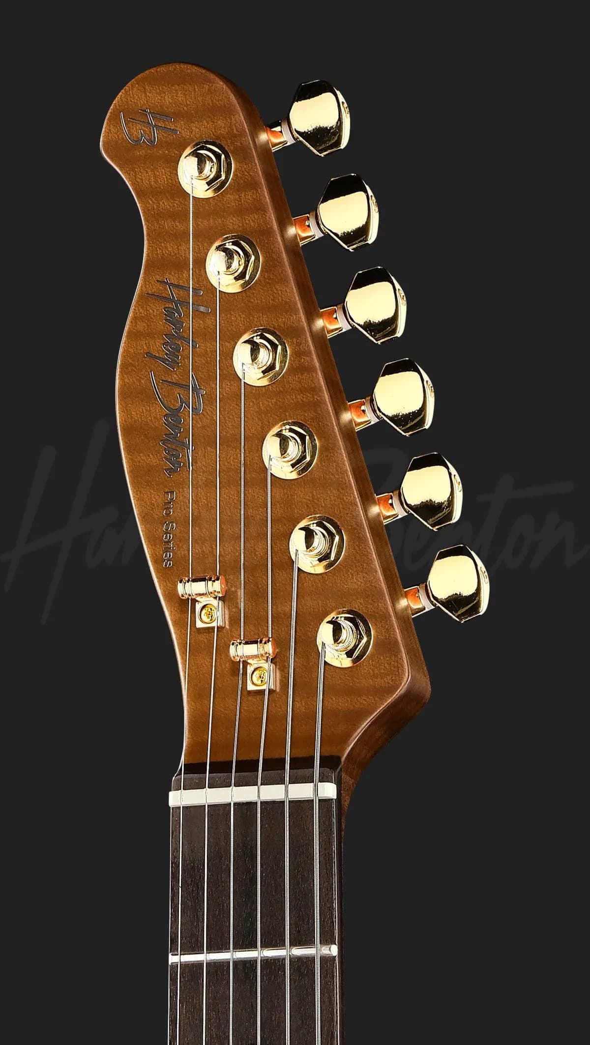 Harley Benton Fusion-T II HH LH RW SGD — photo 6