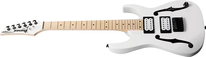 Ibanez PGMM31 — photo 4