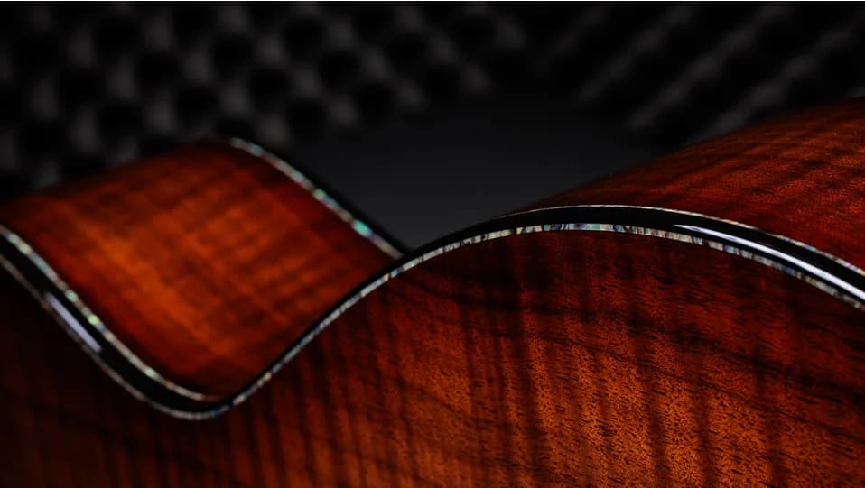 Taylor 50th Anniversary PS14ce LTD &amp; Circa 74 Amp — photo 7