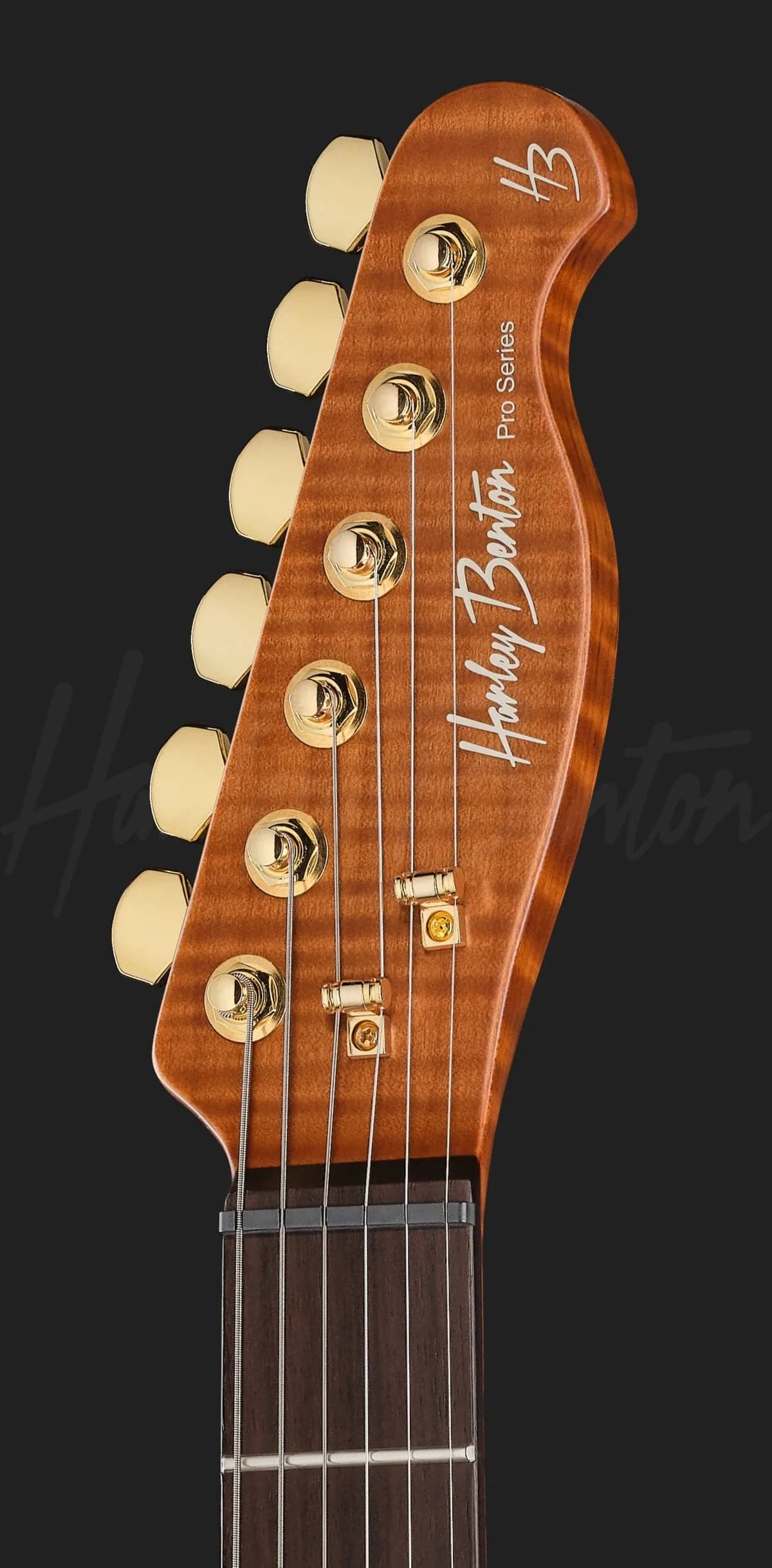 Harley Benton Fusion-T II HH RW HT FBB — photo 6