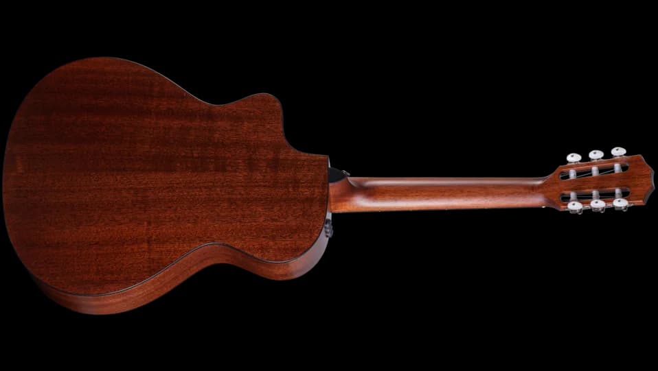 Taylor 312ce-N — photo 2