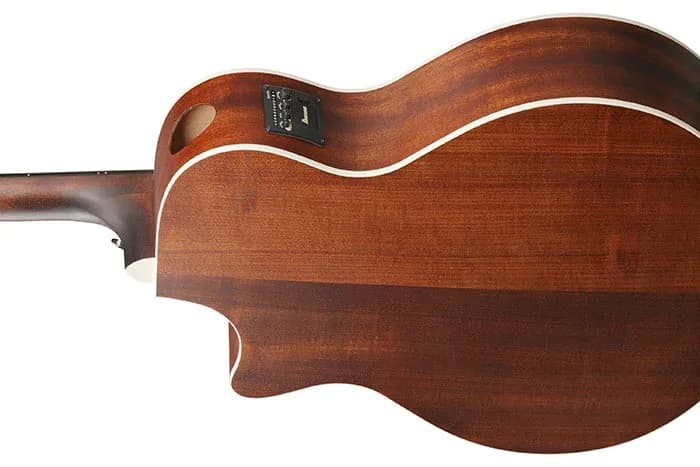 Ibanez AE140 — photo 6