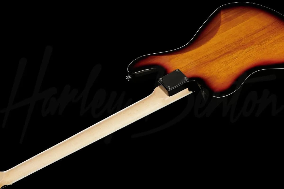 Harley Benton GuitarBass VS — photo 8