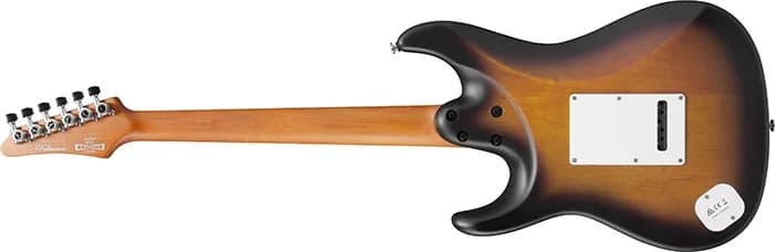 Ibanez ATZ10P — photo 5