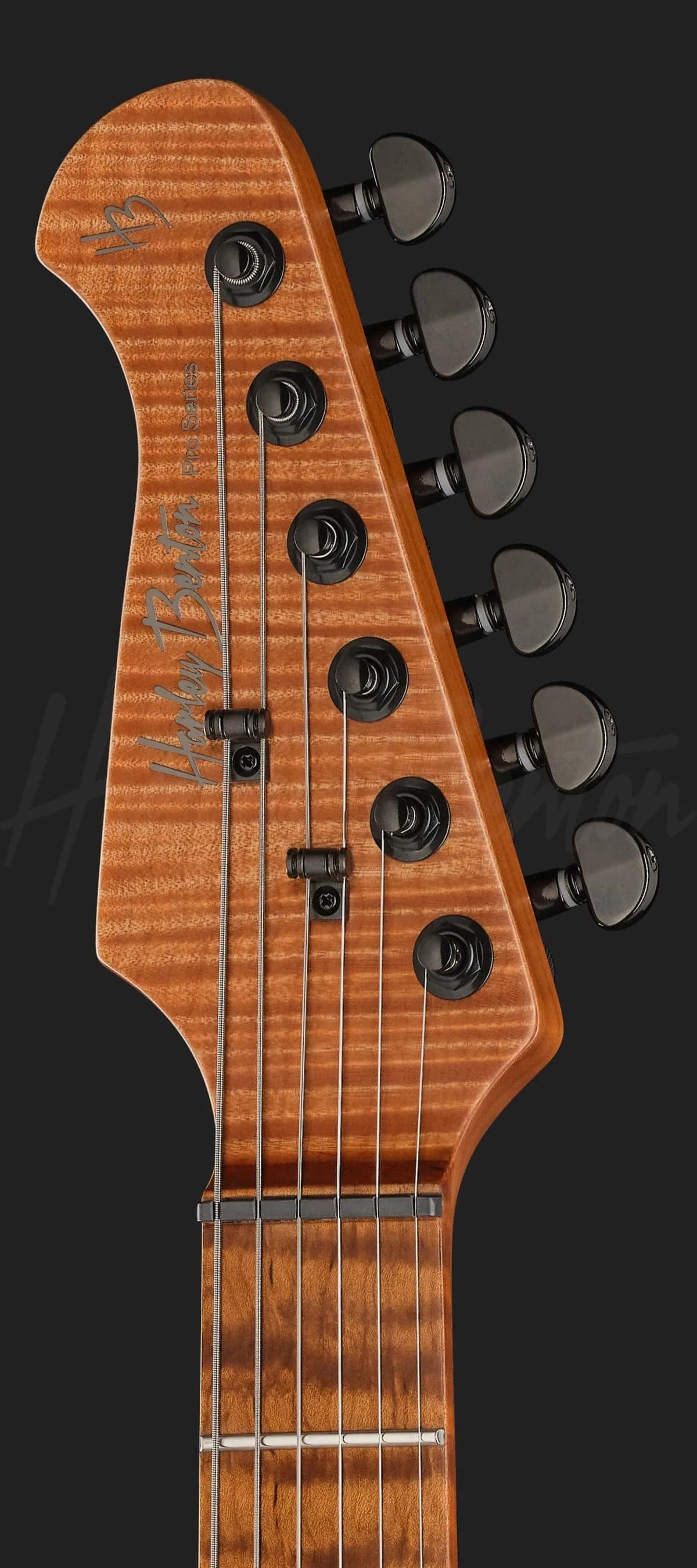 Harley Benton Fusion-IV MN HT EMG SBK — photo 6