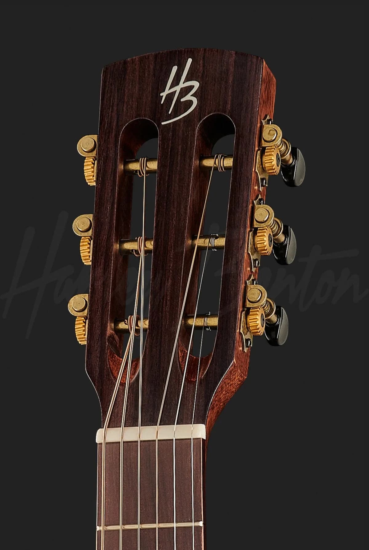 Harley Benton CLP-15ME Solid Wood — photo 6