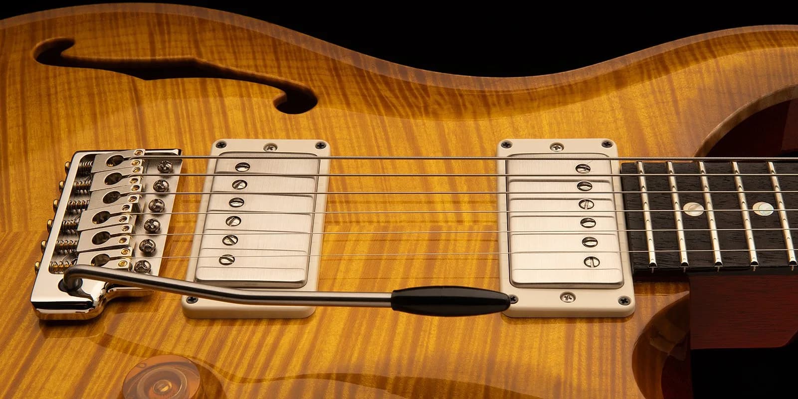 PRS DGT Semi-Hollow Limited Edition — photo 4