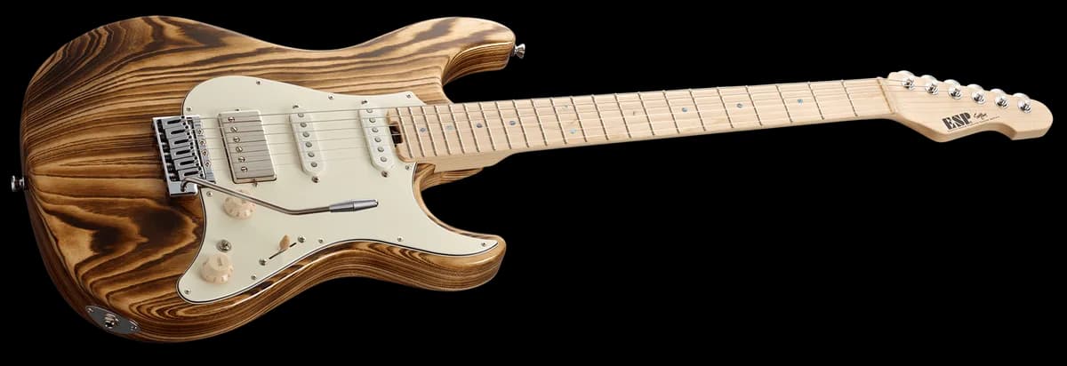 ESP Snapper Burner — photo 3