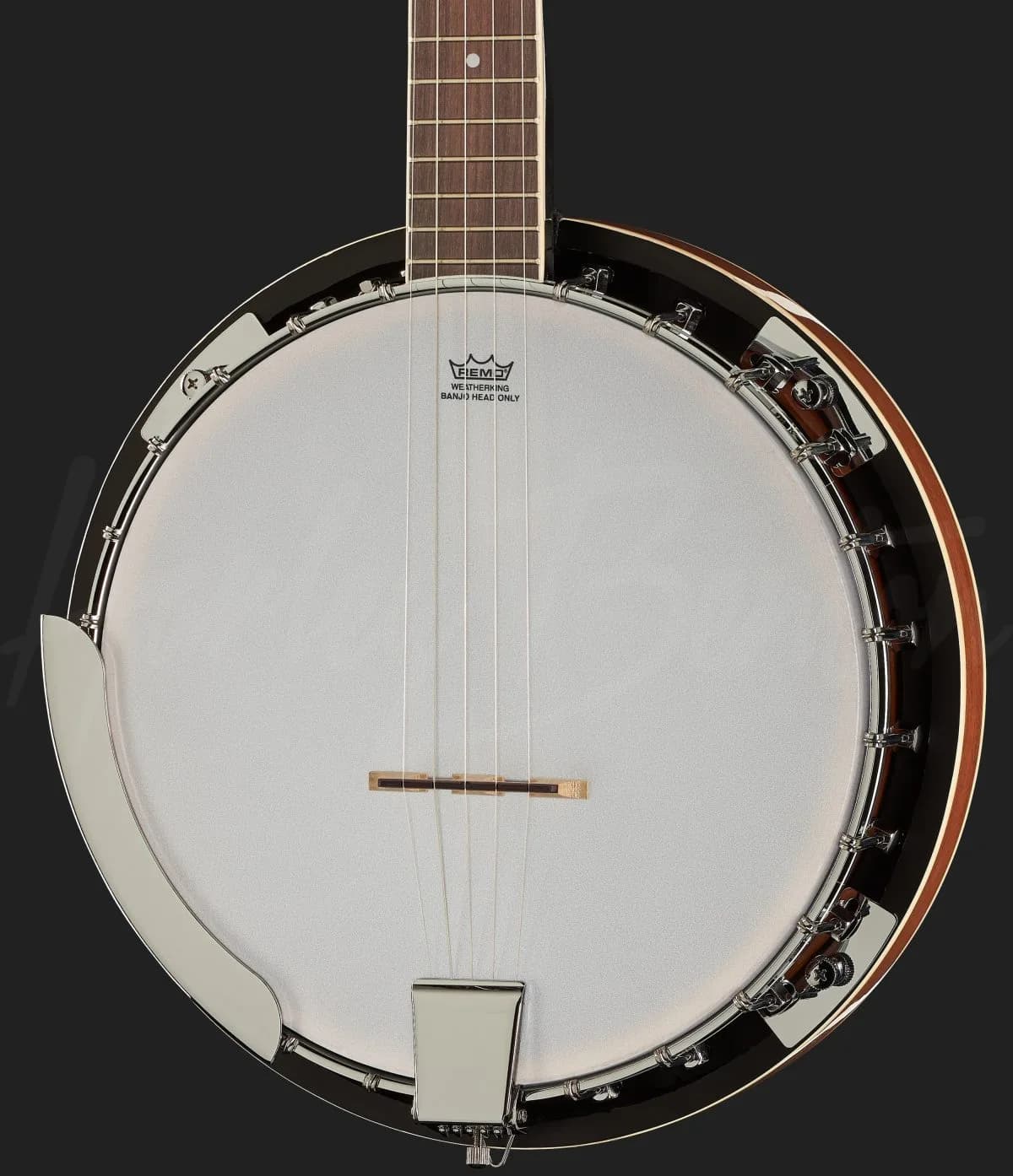 Harley Benton HBJ-25 — photo 4