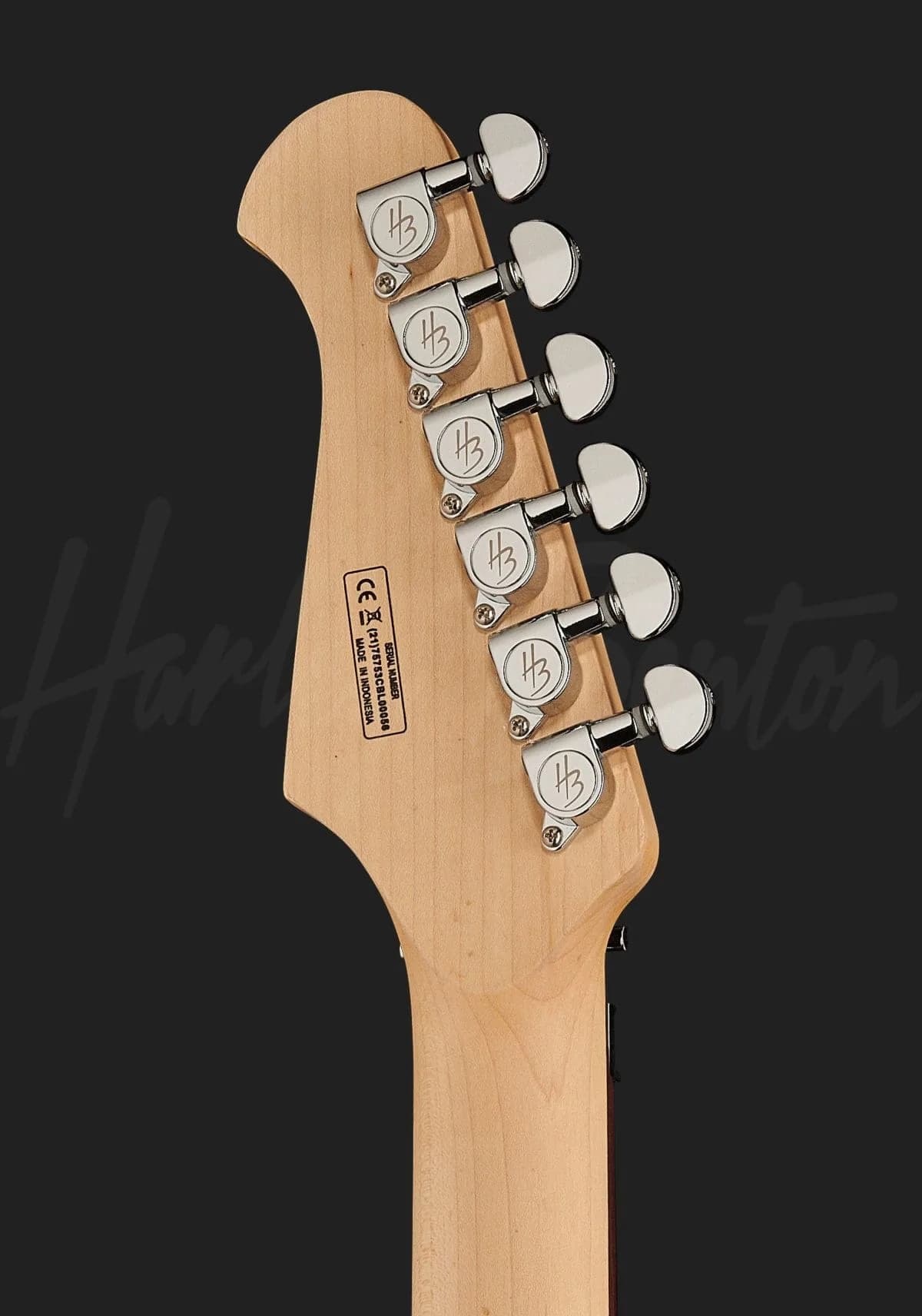 Harley Benton Fusion-III HH FR EB FBB — photo 7
