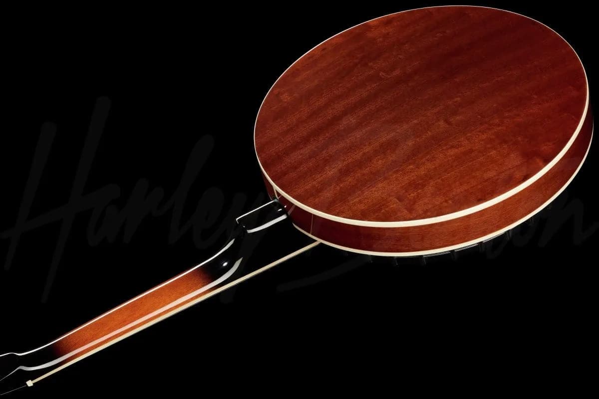 Harley Benton HBJ-24 Short Scale Tenor Banjo — photo 8