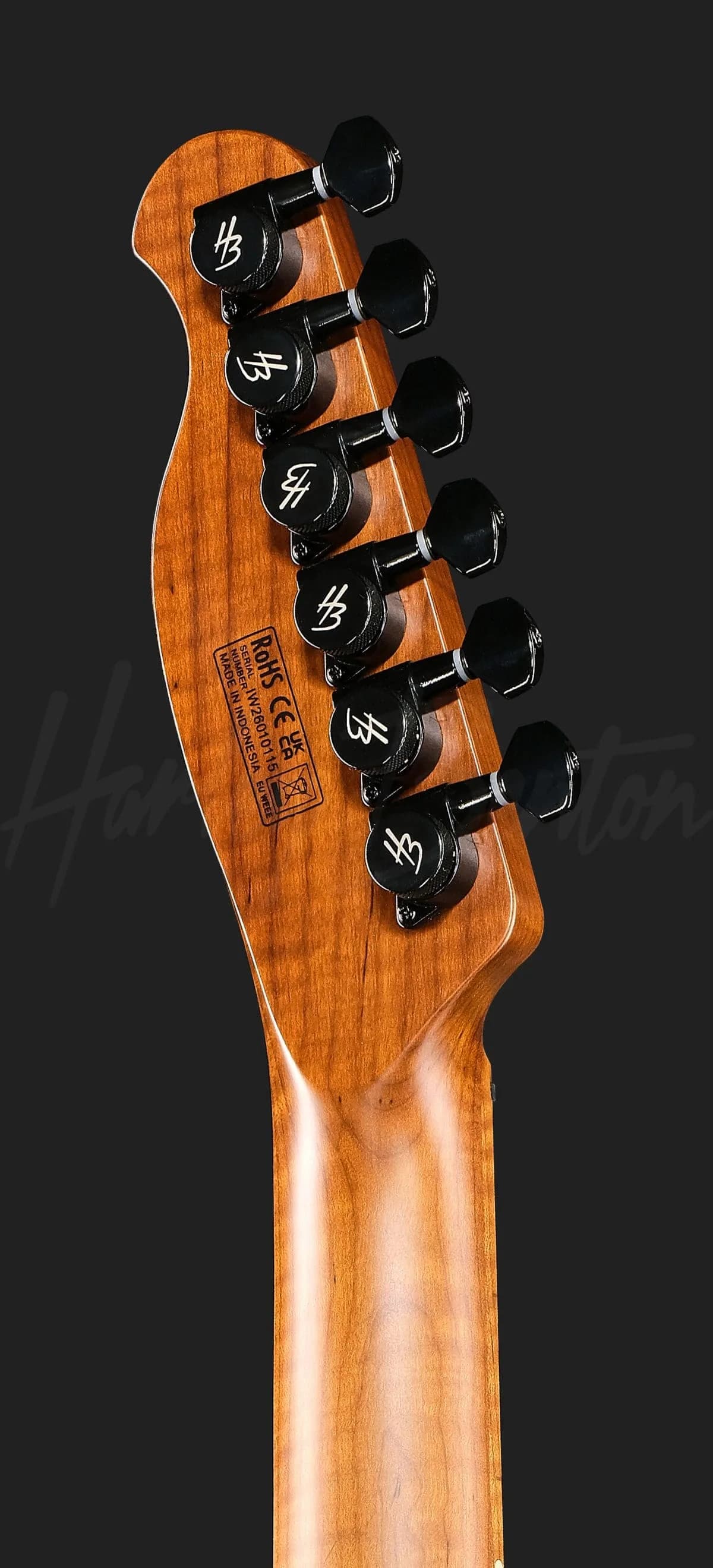 Harley Benton Fusion-T II HH MN WM — photo 7