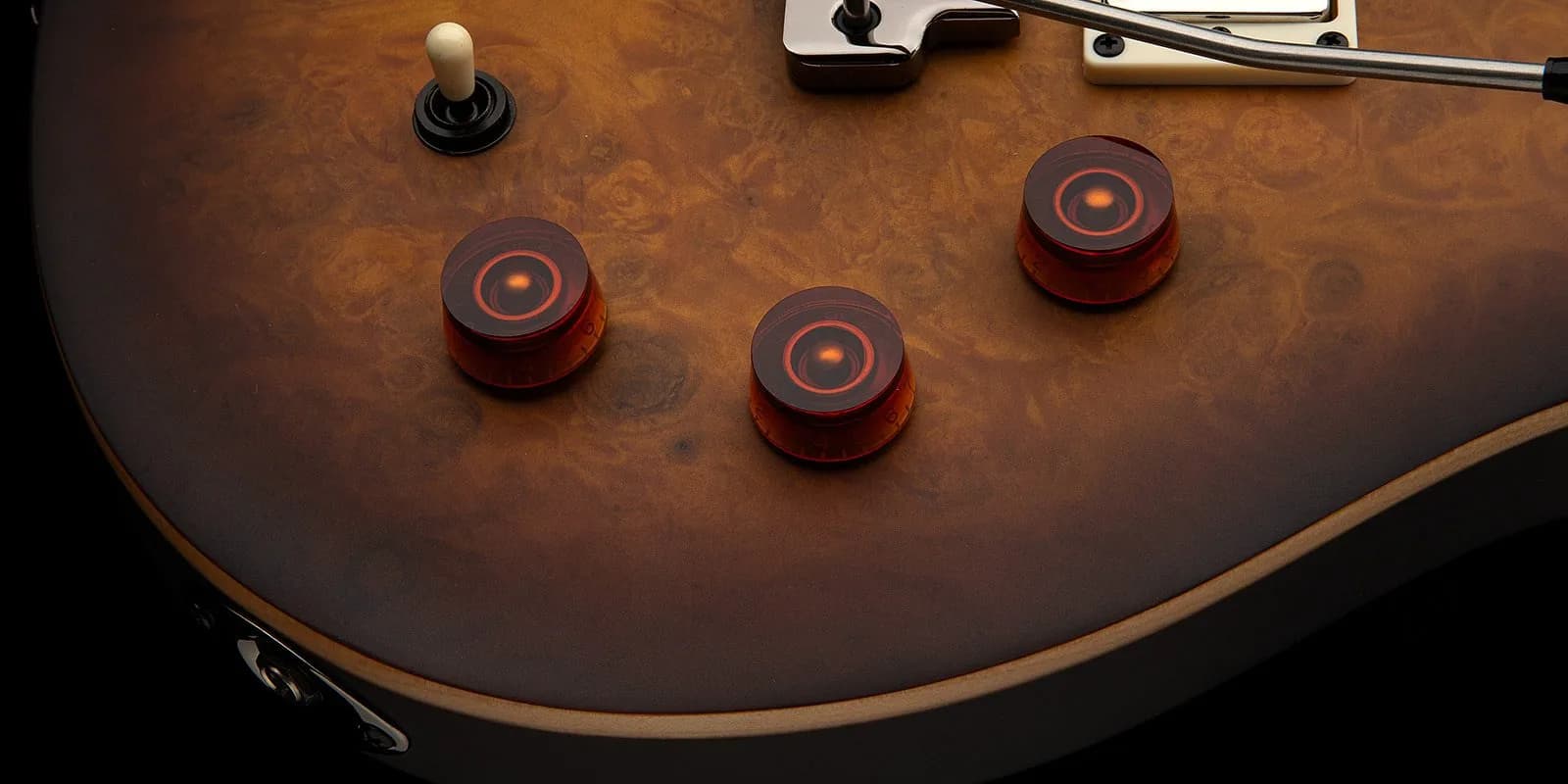 PRS SE DGT Laurel Burl Limited Edition — photo 5