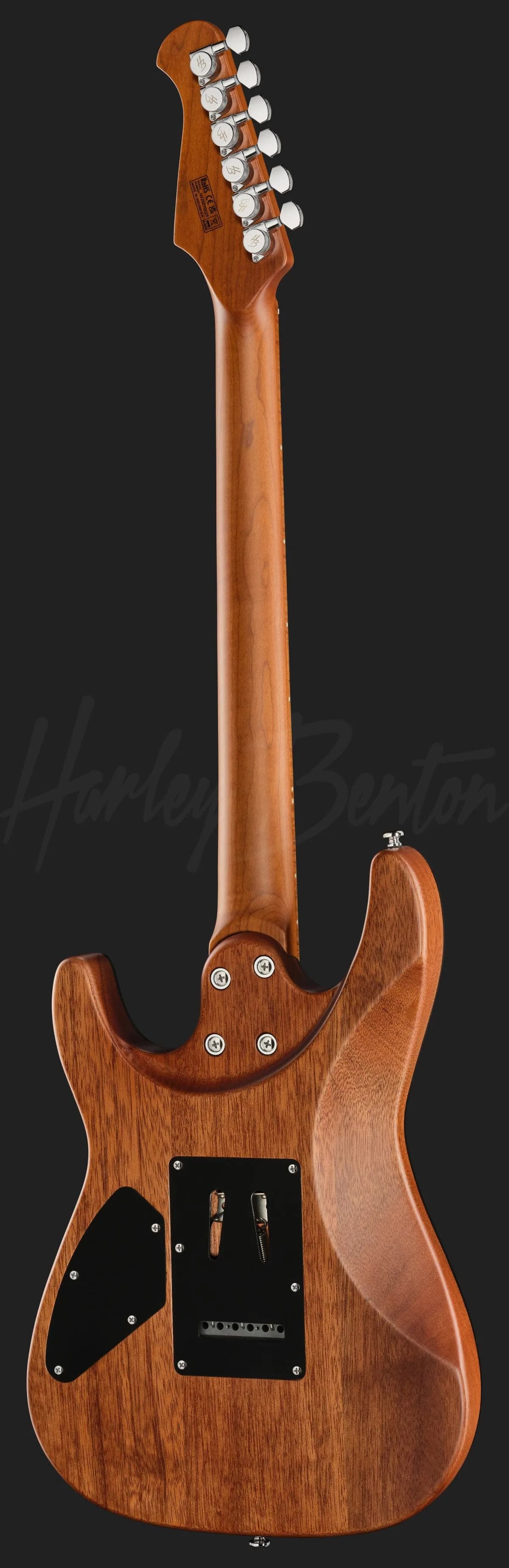 Harley Benton Fusion-IV HSS MN SGR — photo 3