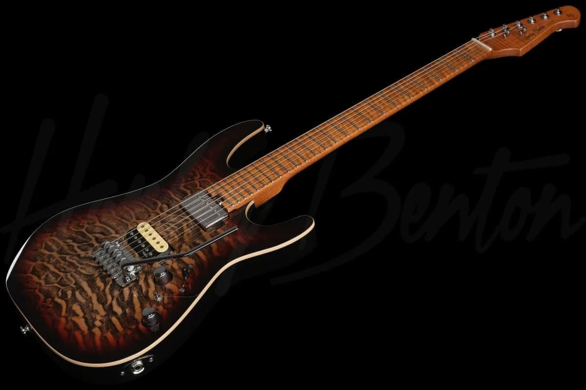 Harley Benton Fusion-IV HH MN QDG — photo 8