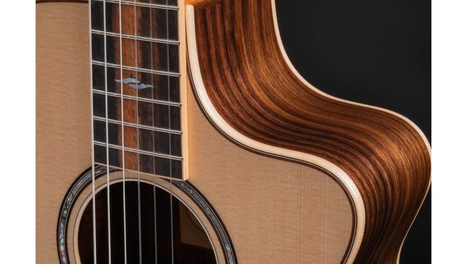 Taylor 812ce-N — photo 8