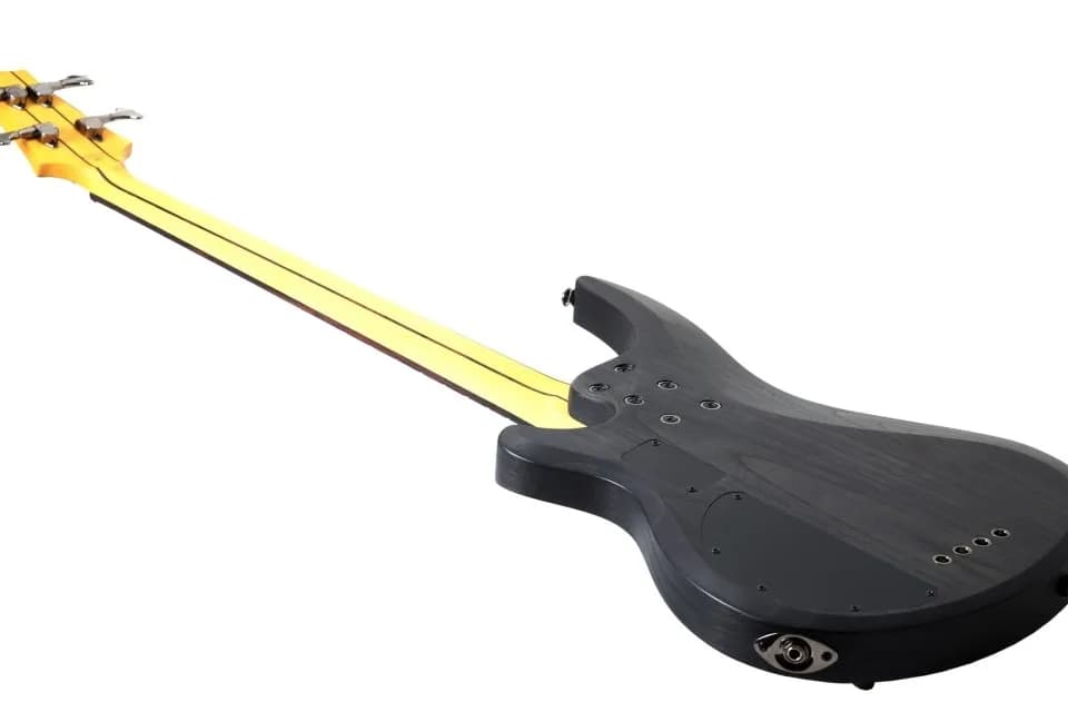 Schecter C-4 Custom LH — photo 4