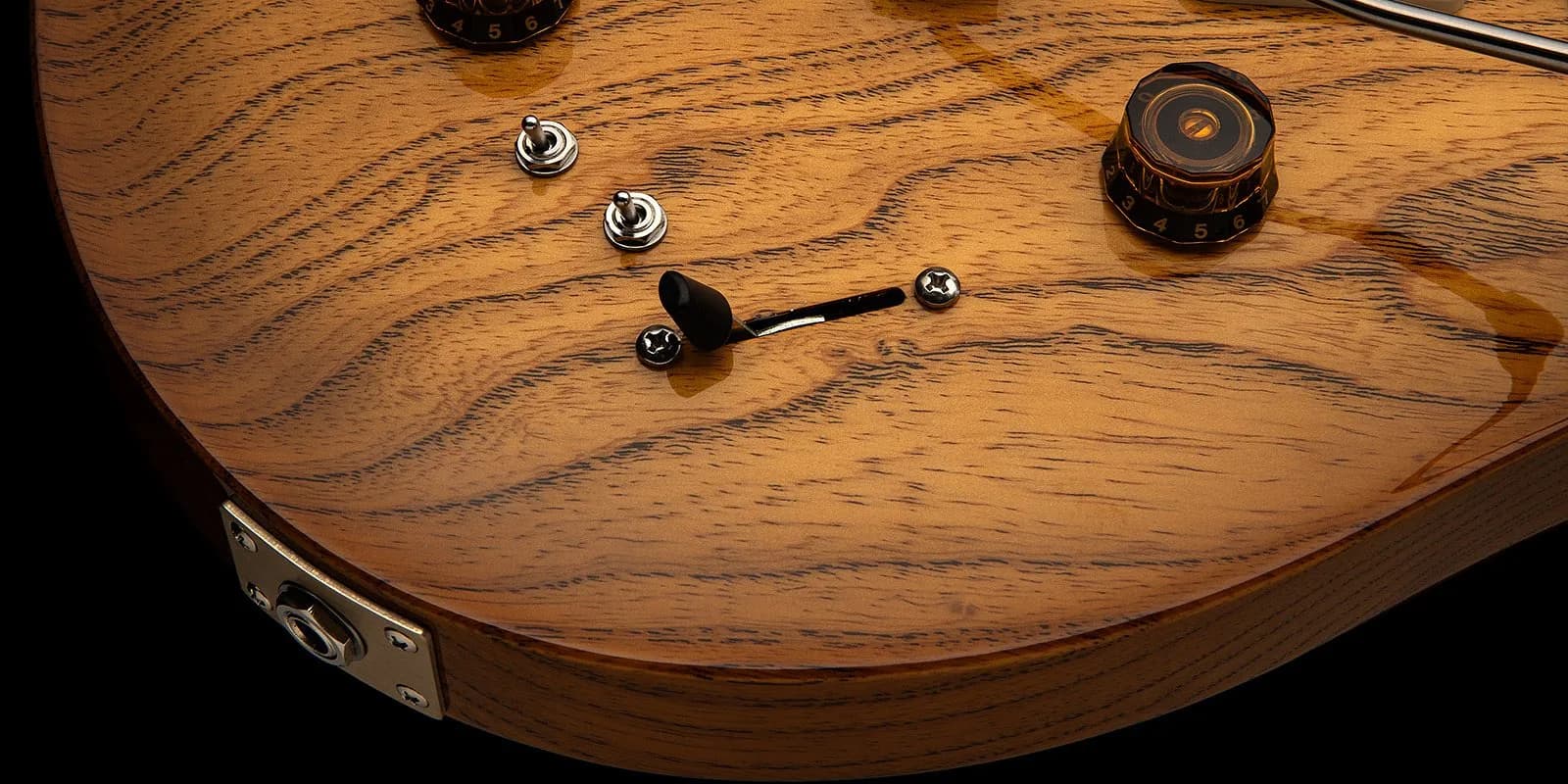PRS Swamp Ash Special — photo 3