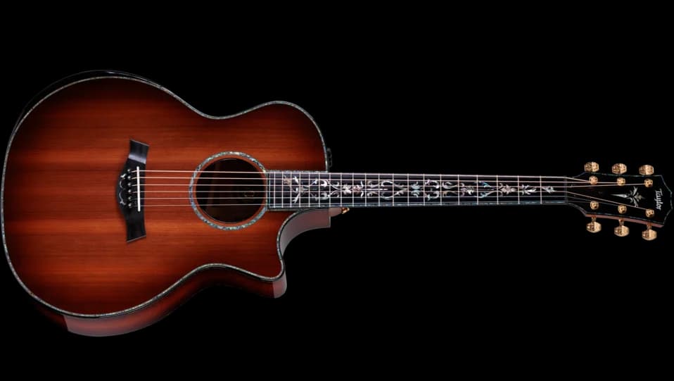 Taylor 50th Anniversary PS14ce LTD