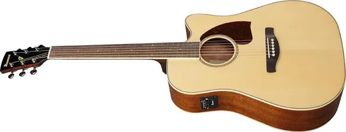 Ibanez PF16WCE — photo 4