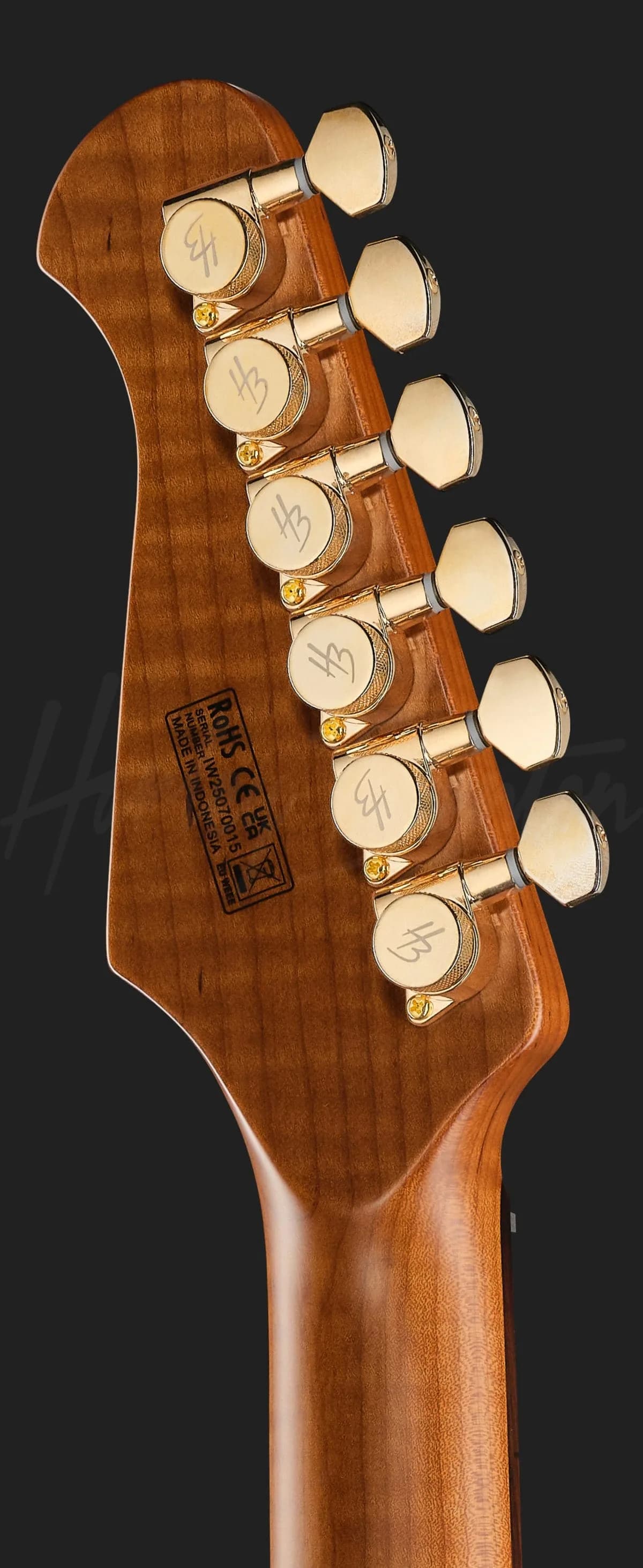 Harley Benton Fusion-IV HSS RW PM — photo 7