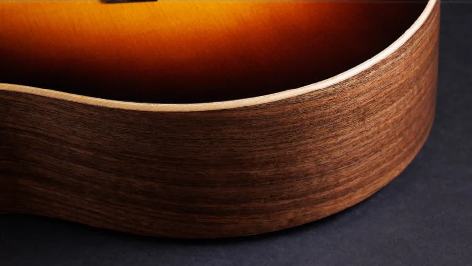 Taylor 50th Anniversary AD14ce-SB LTD — photo 8