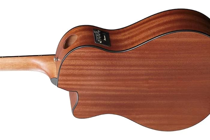 Ibanez AAM54CE — photo 3