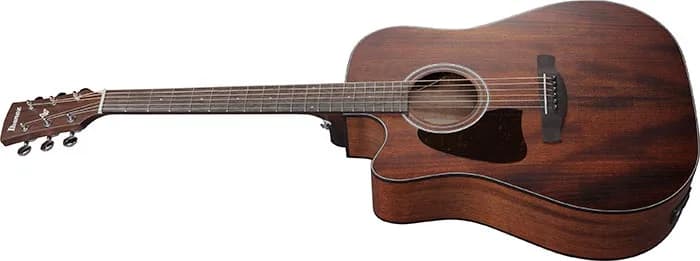 Ibanez AW54LCE — photo 4
