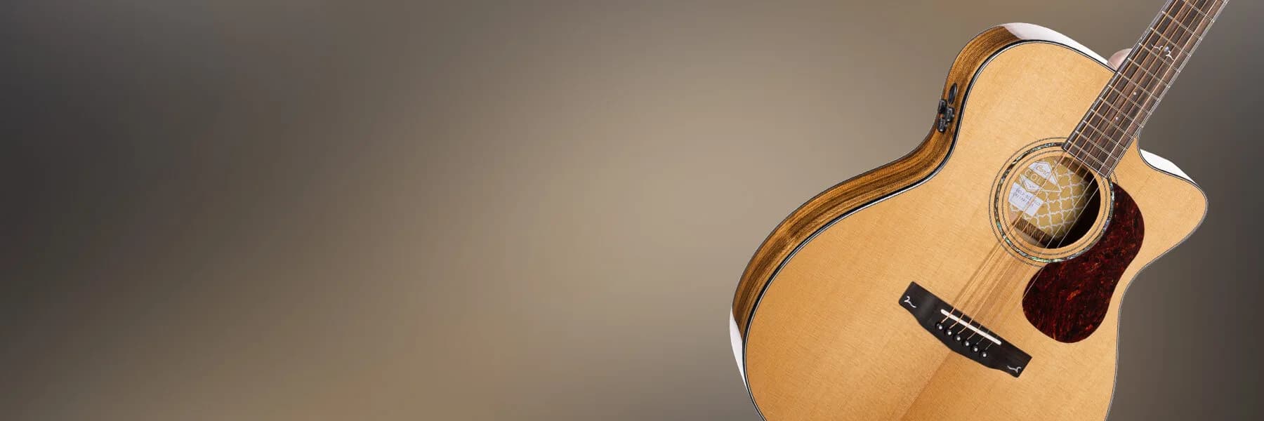 Cort Gold-OC6 Bocote