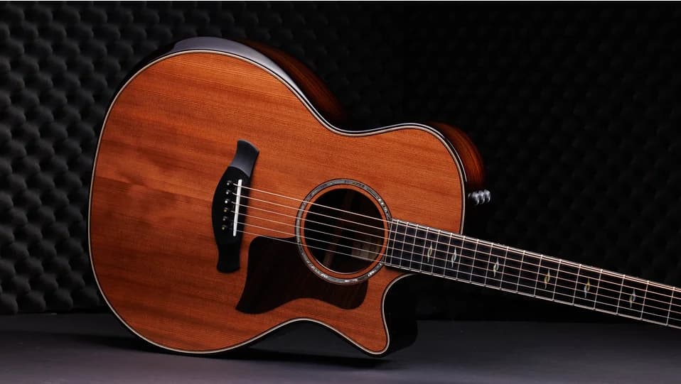 Taylor 50th Anniversary Builder's Edition 814ce LTD — photo 3