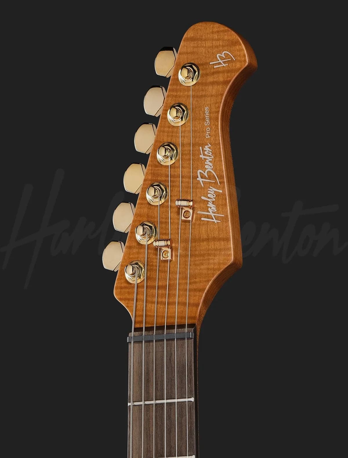 Harley Benton Fusion-IV HH RW PM — photo 6