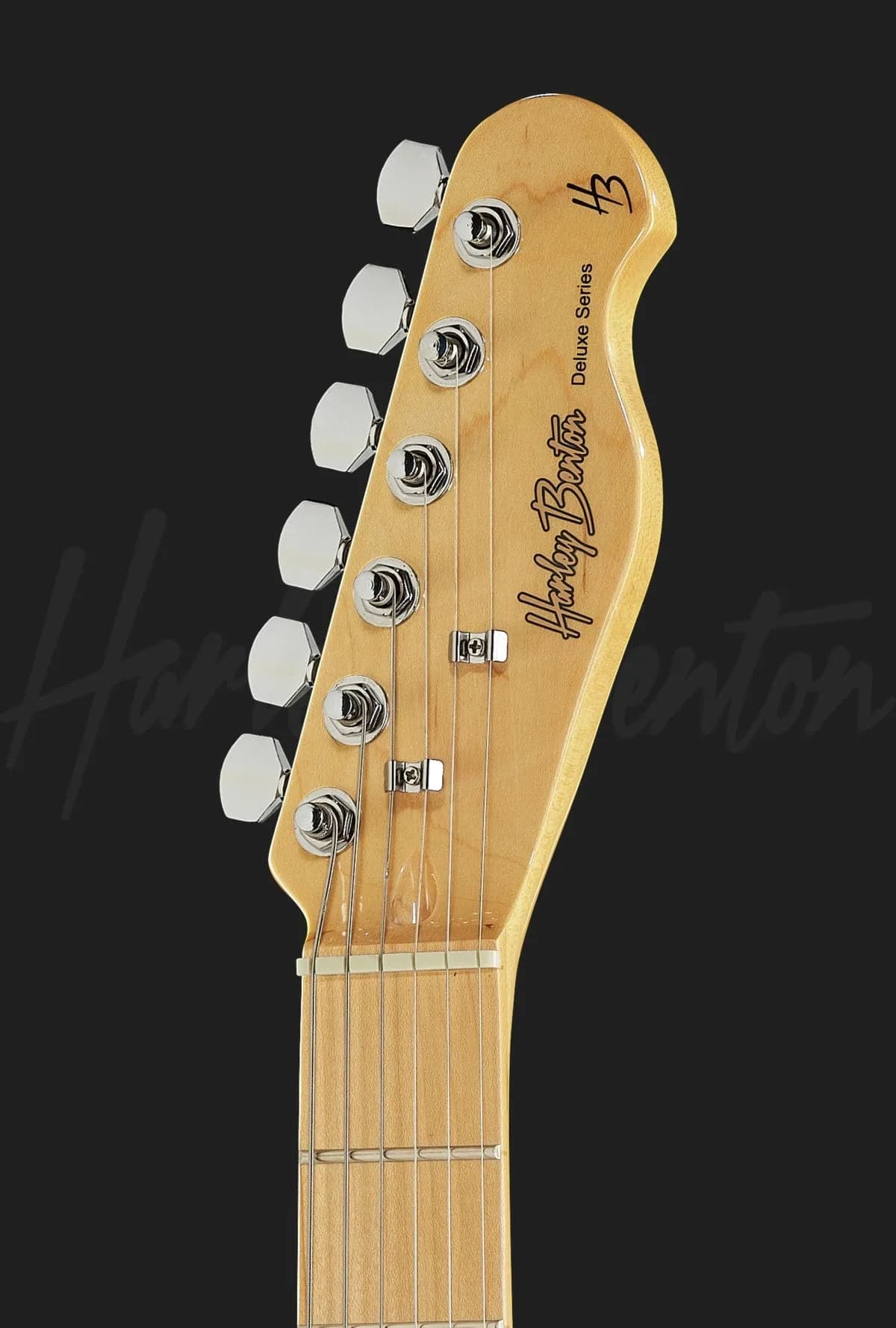 Harley Benton TE-70 Black Paisly — photo 6
