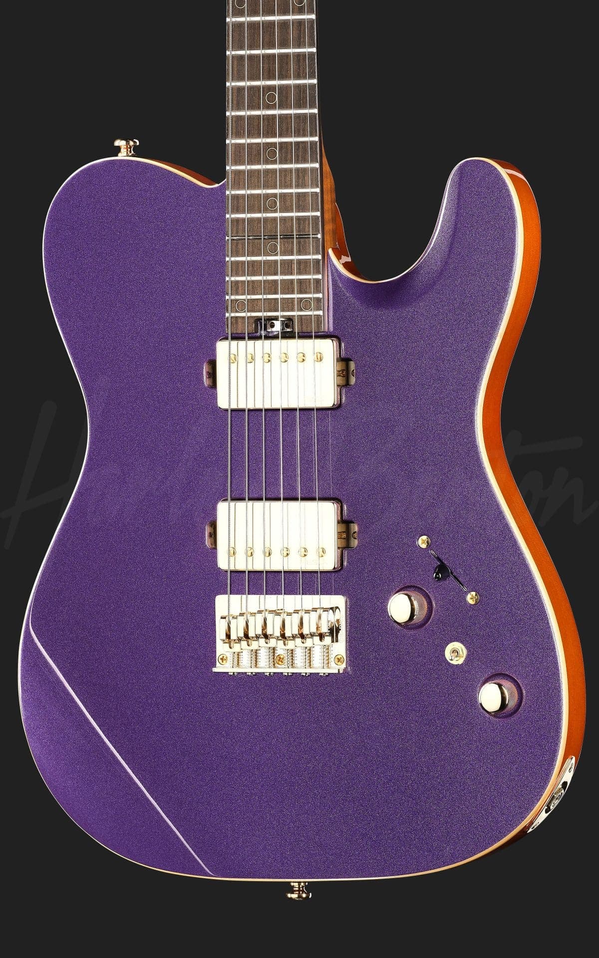 Harley Benton Fusion-T II HH RW HT PM — photo 4