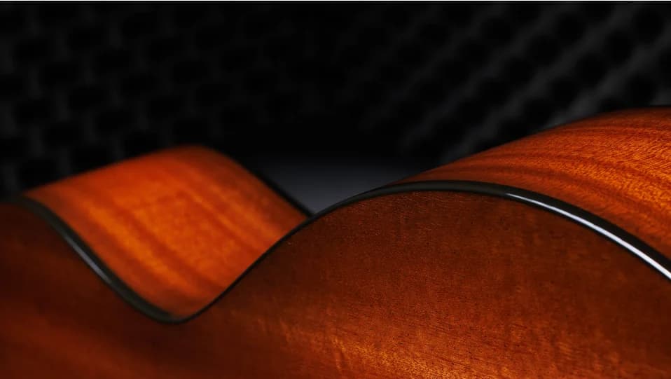 Taylor 50th Anniversary 314ce LTD — photo 5