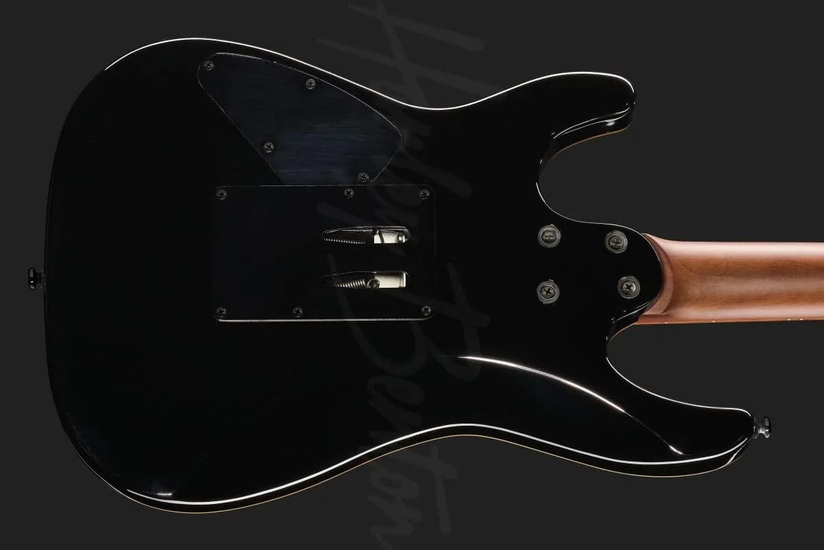 Harley Benton Guitar MAX Fusion Signature HO — photo 5