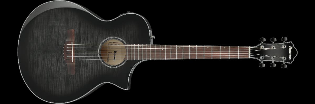 Ibanez AEWC400