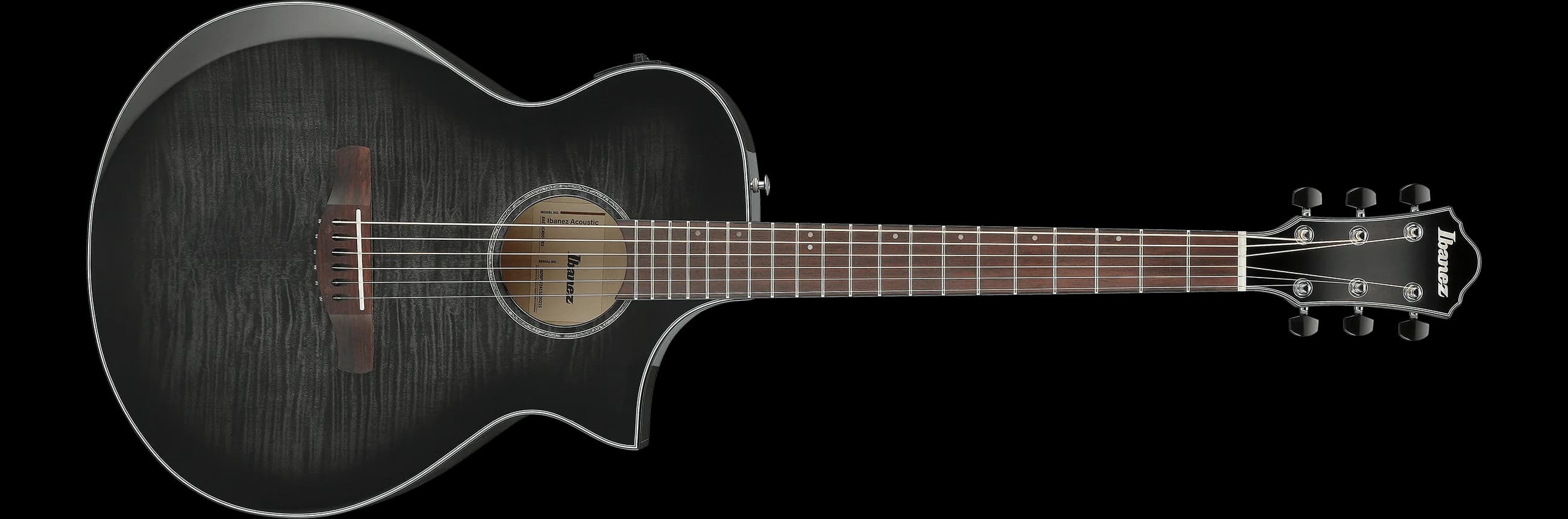 Ibanez AEWC400