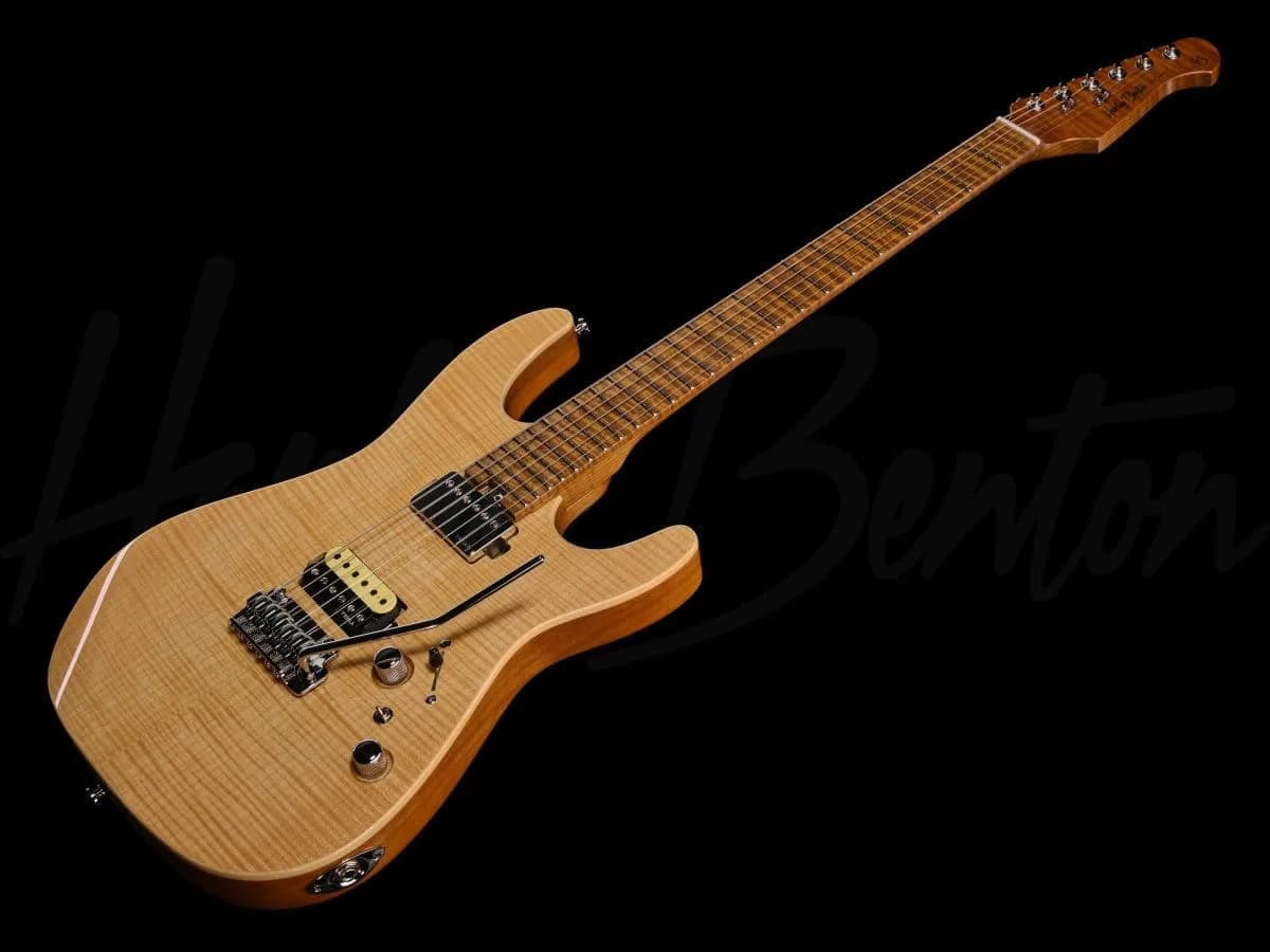 Harley Benton Fusion-IV HH MN FNT — photo 8
