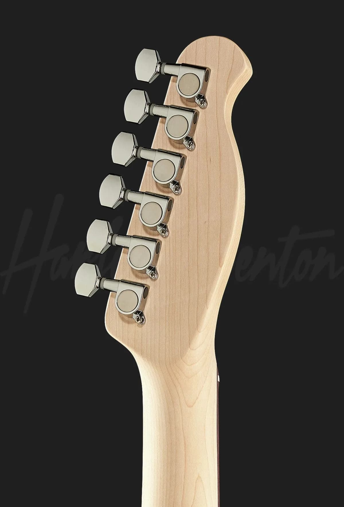 Harley Benton TE-20LH BK — photo 7