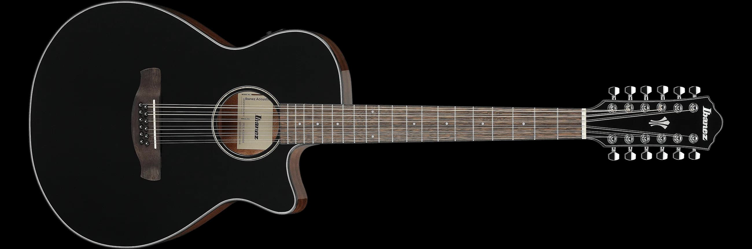 Ibanez AEG5012