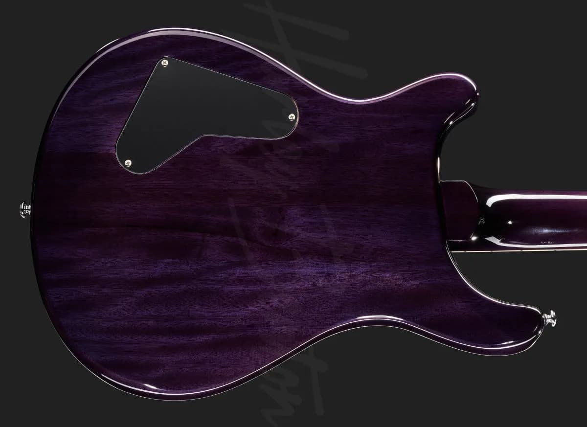 Harley Benton CST-24 Purple Burst — photo 5