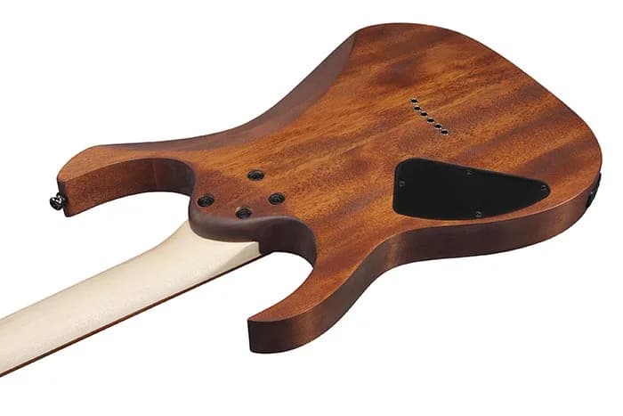 Ibanez RG421 — photo 3