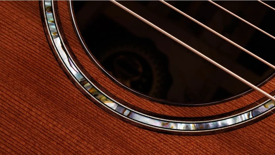 Taylor 50th Anniversary Builder's Edition 814ce LTD — photo 6