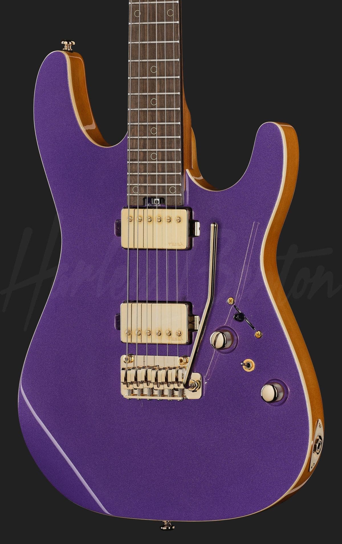 Harley Benton Fusion-IV HH RW PM — photo 4