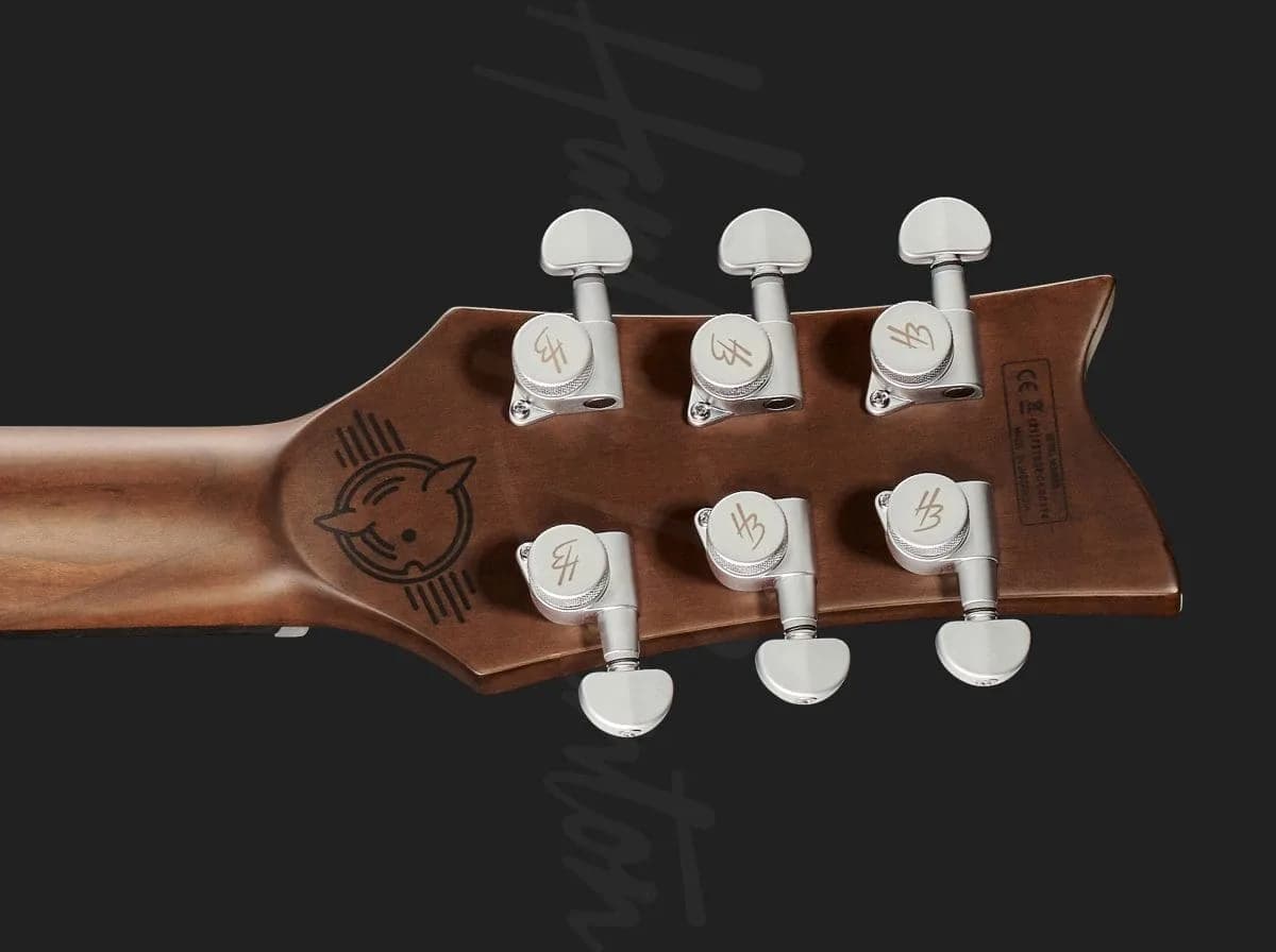 Harley Benton Agufish Standard STD BT BK — photo 7