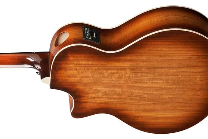 Ibanez AE160 — photo 3